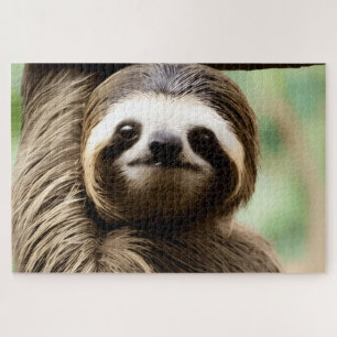 Cute sloth background jigsaw puzzle
