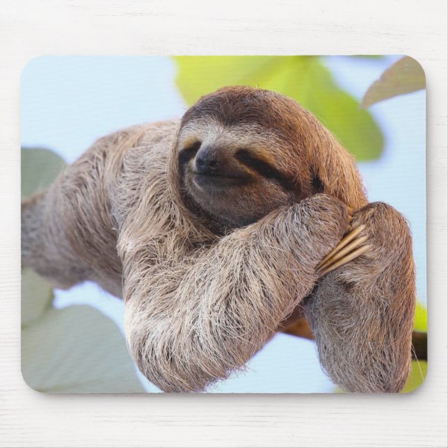 Cute Sloth background Mouse Pad (Front)