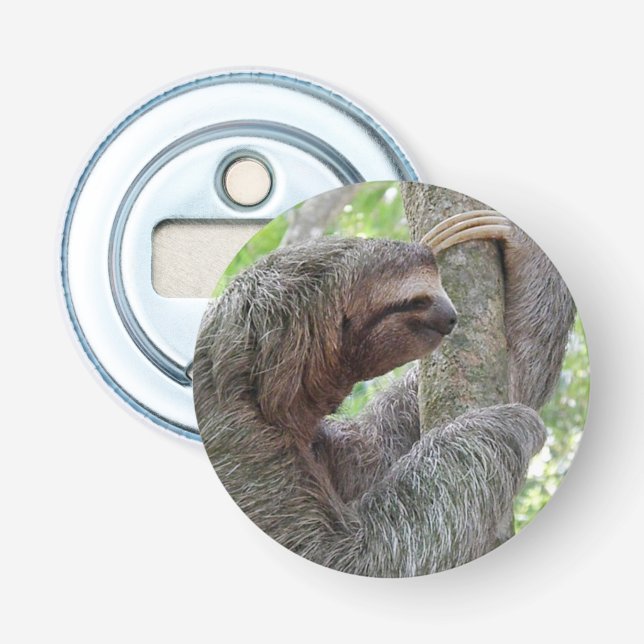 Cute Sloth Bottle Opener (Front)