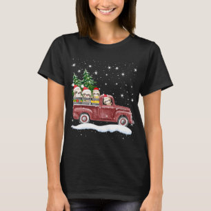 Cute Sloths With Red Truck Funny Christmas Gift T-Shirt