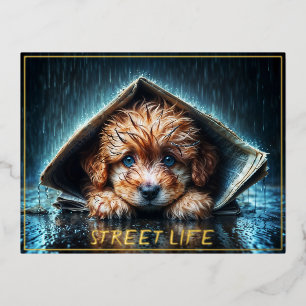 Cute small dog in rain day with blue eyes art foil holiday postcard