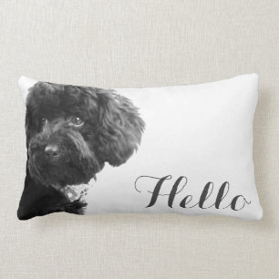 Cute Small Dog Puppy Toy Poodle Hello Custom Lumbar Cushion