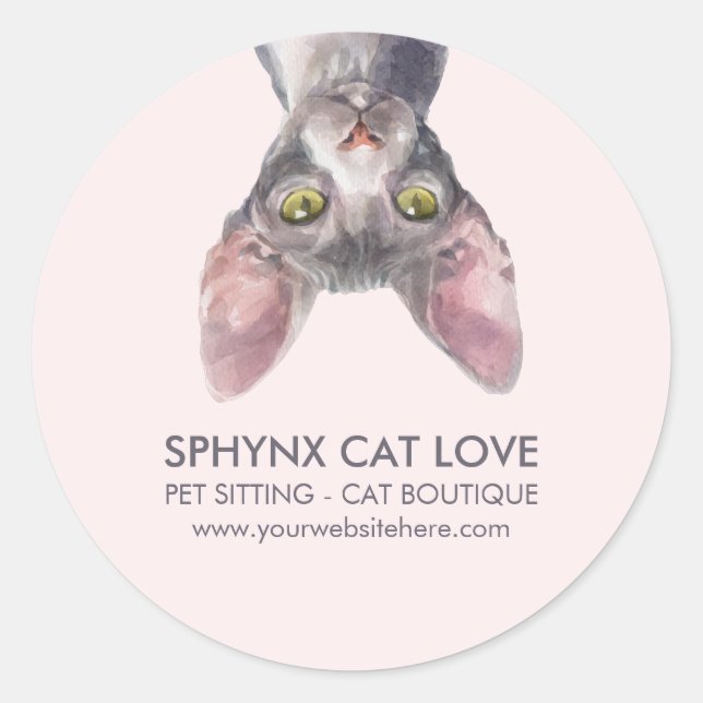 Cute Small Pink Canadian Sphynx Cat Car Classic Round Sticker (Front)