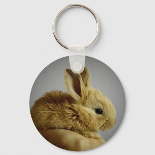 Cute small rabbit in hand key ring