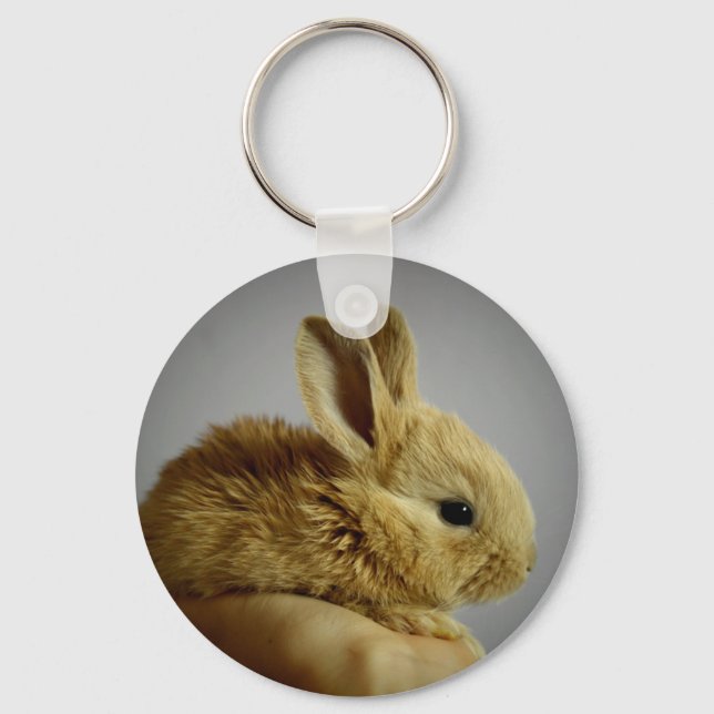 Cute small rabbit in hand key ring (Front)