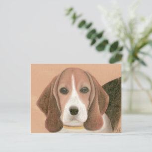 Cute smart dog. Pastel   Postcard