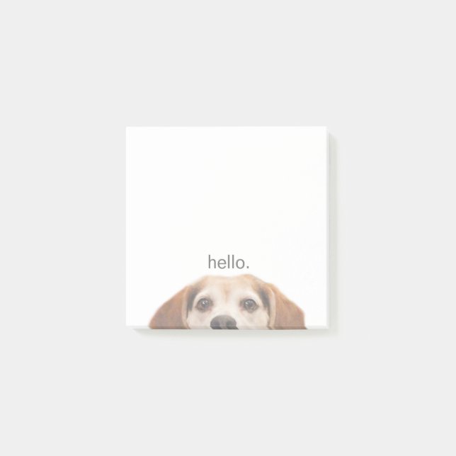 Cute Smiling Beagle with Hello Quote Post-it Notes (Front)