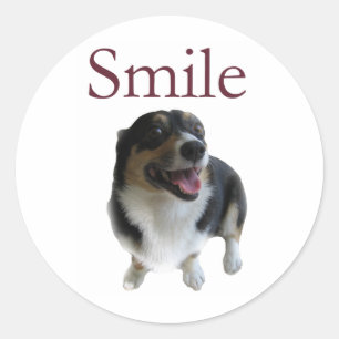 Cute Smiling Dog   Smile Be Happy Classic Round Sticker