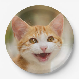 Cute Smiling Kitten Face Funny Cat Meow Photo - Paper Plate