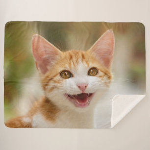 Cute Smiling Kitten Face Funny Cat Meow Photo Sherpa Blanket