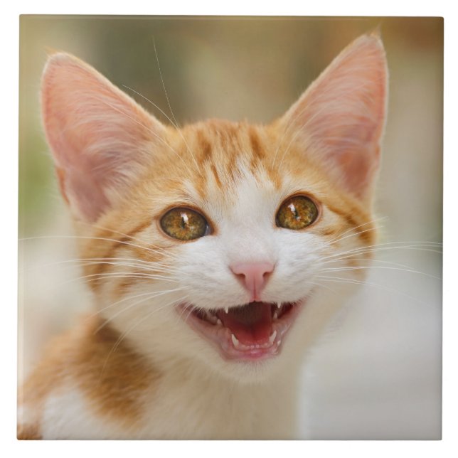Cute Smiling Kitten Face Funny Cat Meow Photo Tile (Front)