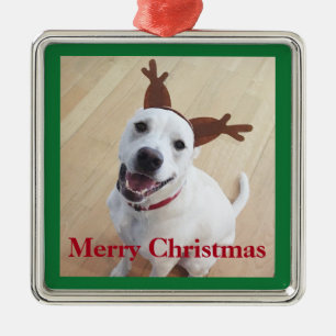 Cute Smiling Reindeer White Puppy Dog Green Metal Ornament