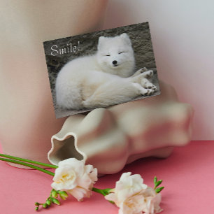 Cute Smiling White Arctic Fox Nature Birthday Card