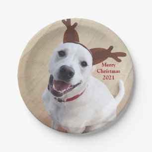 Cute Smiling White Dog Christmas Paper Plate