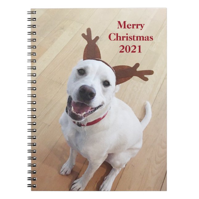 Cute Smiling White Reindeer Dog Christmas Notebook (Front)