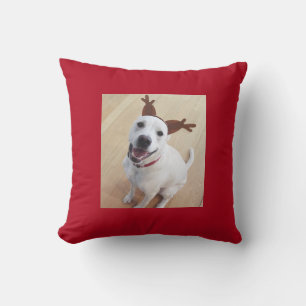 Cute Smiling White Reindeer Dog Red Christmas Cushion