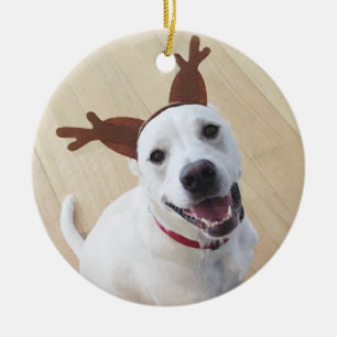 Cute Smiling White Reindeer Puppy Dog Ceramic Ornament