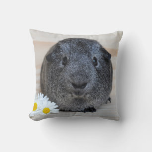 Cute Smooth, Silver Agouti Guinea Pig and Daisies Cushion
