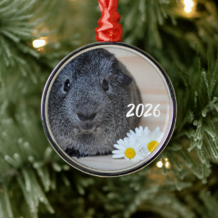 Cute Smooth, Silver Agouti Guinea Pig and Daisies Metal Ornament