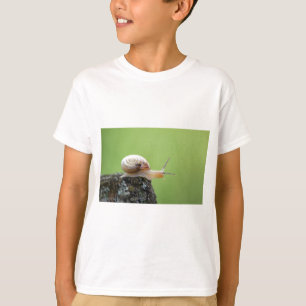 Cute Snail on Edge With Green Background T-Shirt