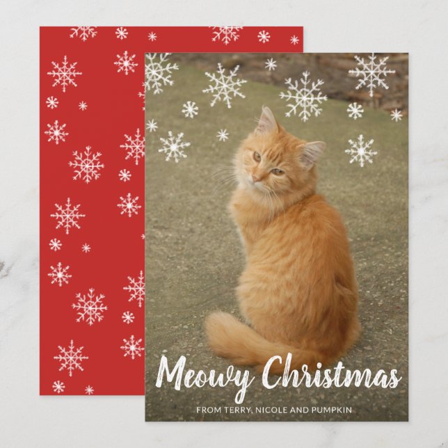Cute Snowflakes Photo Cat Meowy Christmas Holiday Card (Front/Back)