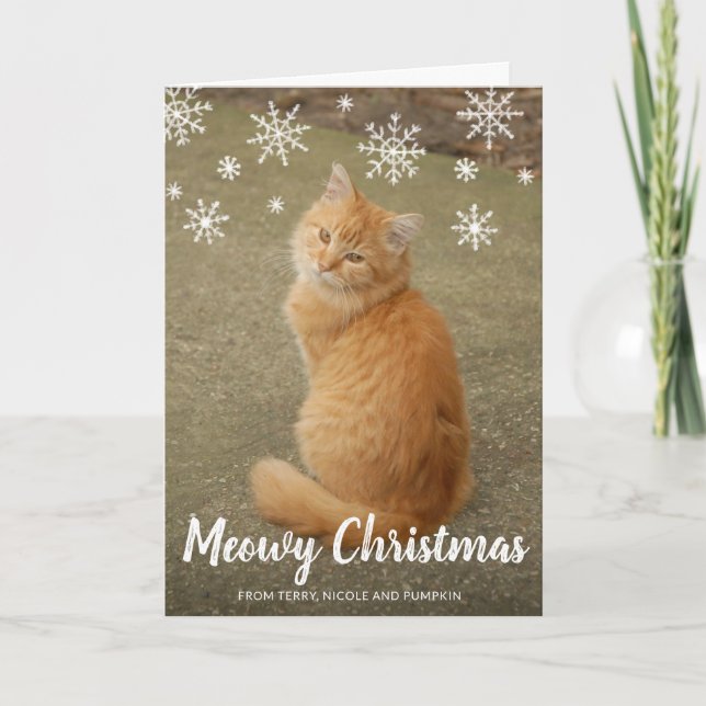 Cute Snowflakes Photo Cat Meowy Christmas Holiday Card (Front)