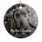 Cute Snowflakes Photo Dog My First Christmas