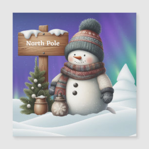 Cute snowman on North Pole with northern lights