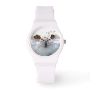 Cute Snowy Owl Eyes Wildlife Photo Watch