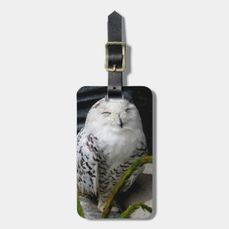 Cute Snowy Owl Luggage Tag