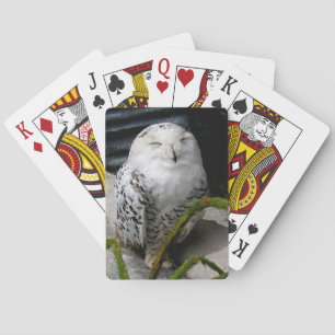 Cute Snowy Owl Playing Cards