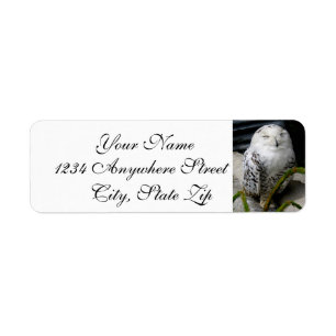 Cute Snowy Owl Return Address Label
