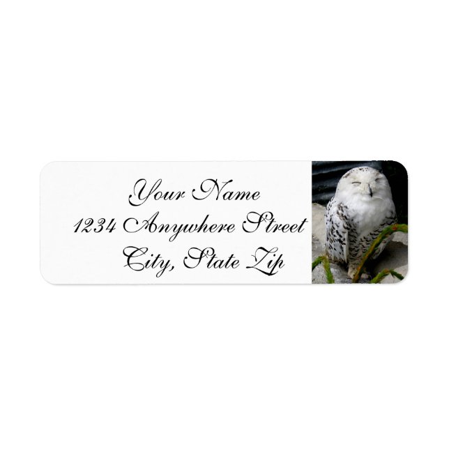 Cute Snowy Owl Return Address Label (Front)