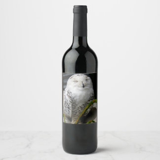Cute Snowy Owl Wine Label