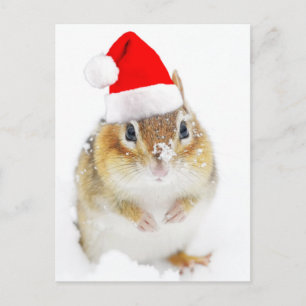 Cute Snowy Santa Chipmunk Holiday Postcard