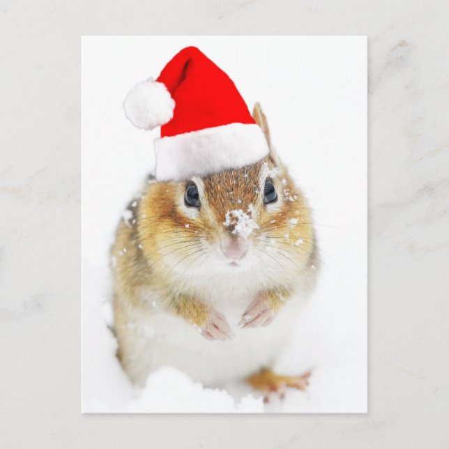 Cute Snowy Santa Chipmunk Holiday Postcard (Front)