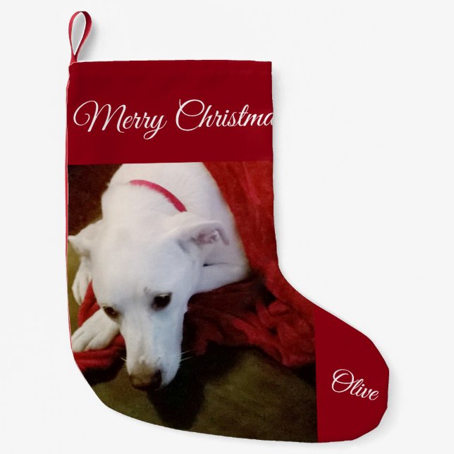 Cute Snowy White Lab Mix Dog Christmas Stocking (Front)