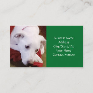 Cute Snowy White Puppy Dog Green Christmas  Business Card