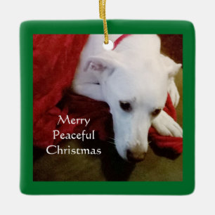 Cute Snowy White Puppy Dog Peace Christmas Green Ceramic Ornament