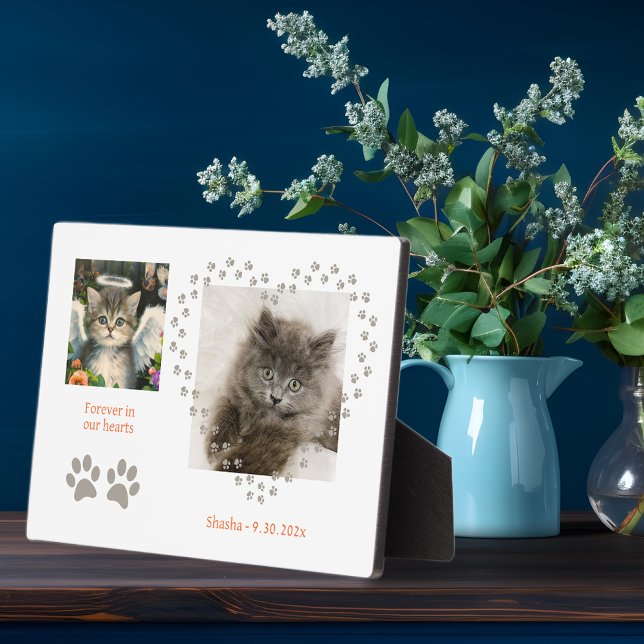 Cute Soft Kitten Angel Plaque (Creator Uploaded)