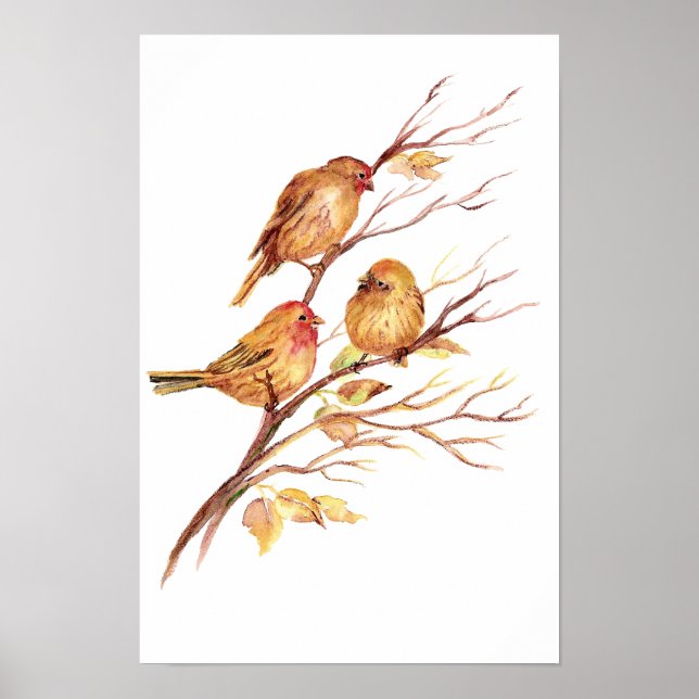Cute Song Sparrow, Bird, Garden, Animal Nature Poster (Front)