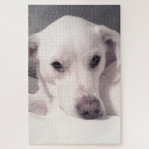 Cute Soulful Eyes Puppy Dog White and Grey Jigsaw Puzzle