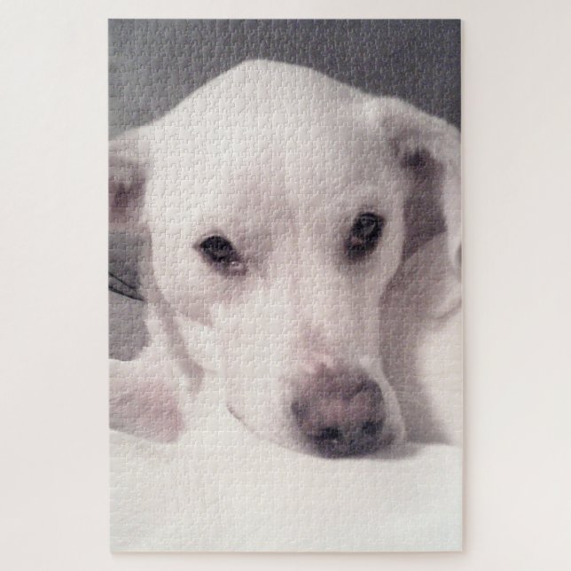 Cute Soulful Eyes Puppy Dog White and Grey Jigsaw Puzzle (Vertical)