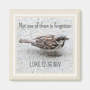 Cute Sparrow Bird Photo Bible Verse Simple Tan Magnet