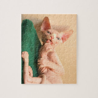 Cute sphinx jigsaw puzzle