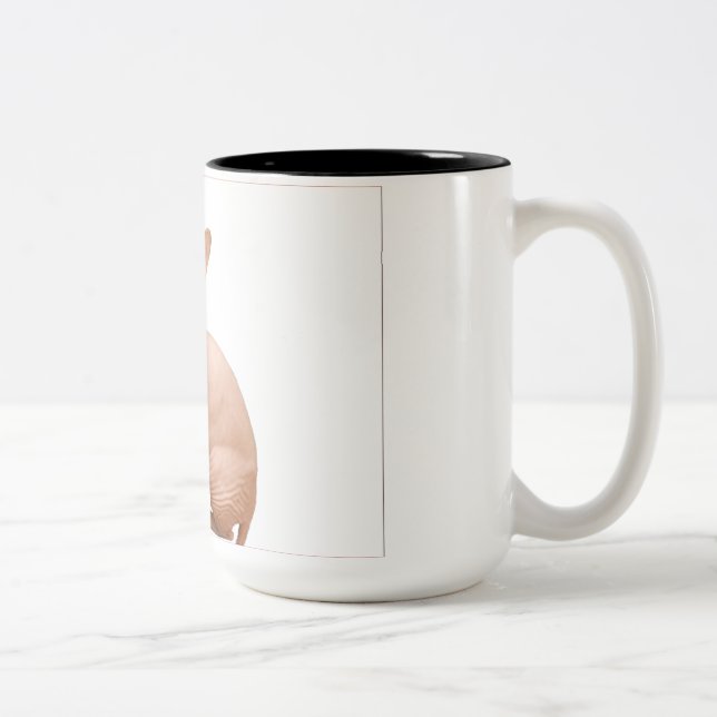 Cute sphynx cat Two-Tone coffee mug (Right)