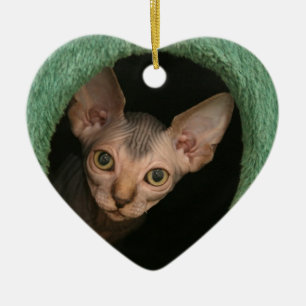 Cute sphynx kitten ceramic tree decoration