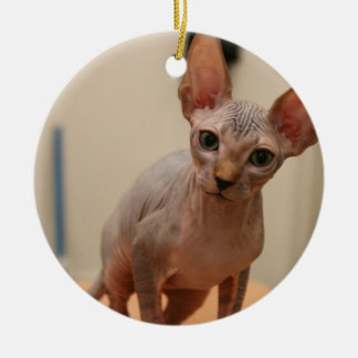 Cute sphynx kitten "I'm furless, are you?" Ceramic Tree Decoration