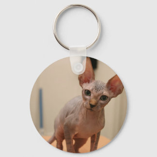 Cute sphynx kitten "I'm furless, are you?" Key Ring
