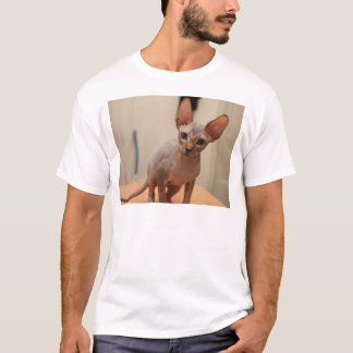Cute sphynx kitten "I'm furless, are you?" T-Shirt